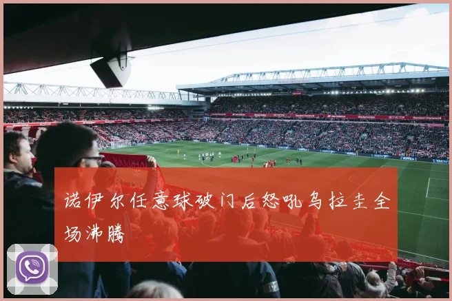 诺伊尔任意球破门后怒吼乌拉圭全场沸腾