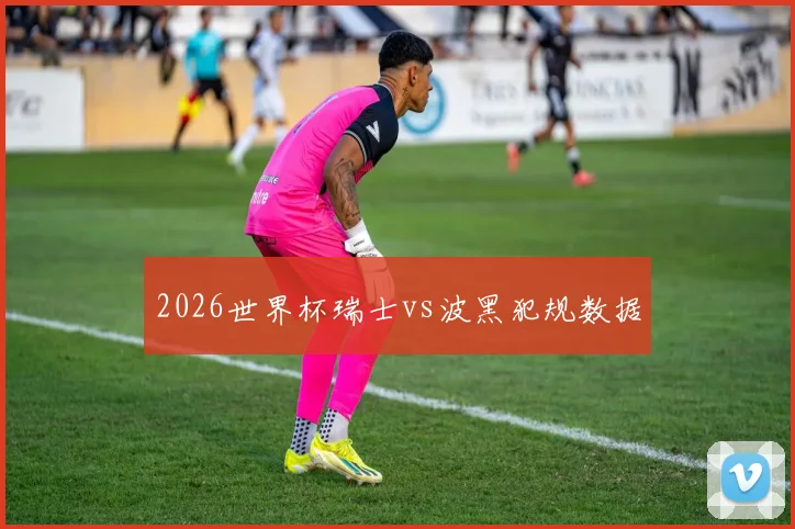 2026世界杯瑞士vs波黑犯规数据