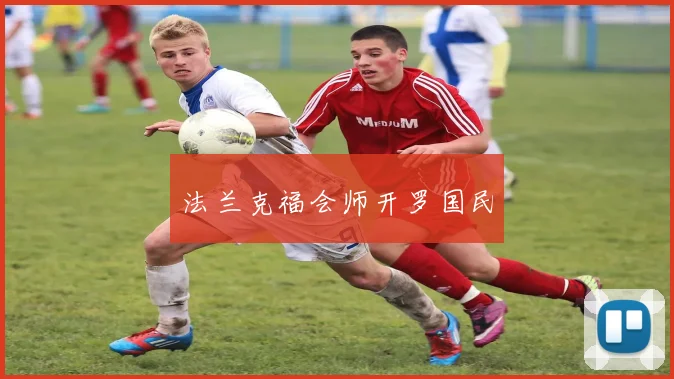 法兰克福会师开罗国民
