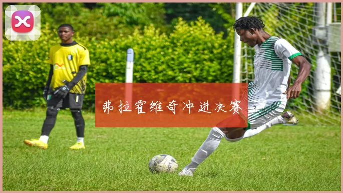 弗拉霍维奇冲进决赛