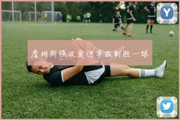 詹姆斯强攻爱德华兹制胜一球