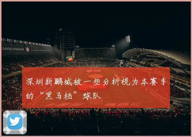 深圳新鹏城被一些分析视为本赛季的“黑马档”球队
