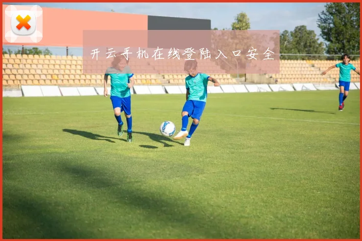 开云手机在线登陆入口安全