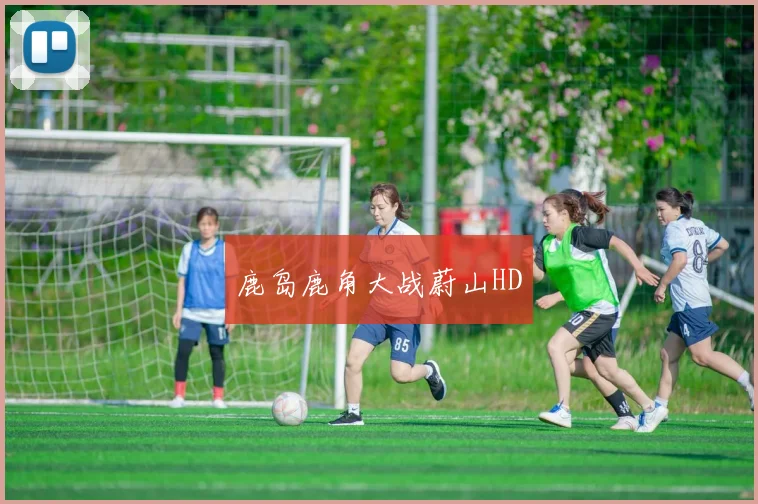 鹿岛鹿角大战蔚山HD