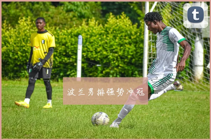 波兰男排强势冲冠