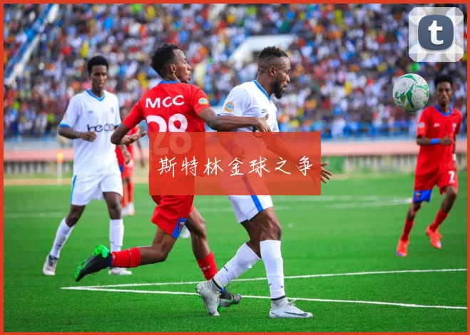 斯特林金球之争