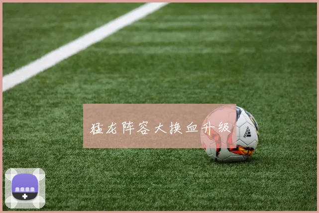 猛龙阵容大换血升级