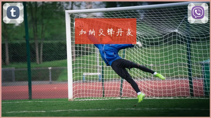 加纳交锋丹麦