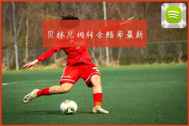 贝林厄姆转会赔率最新