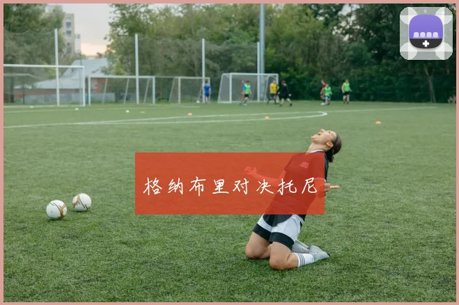 格纳布里对决托尼