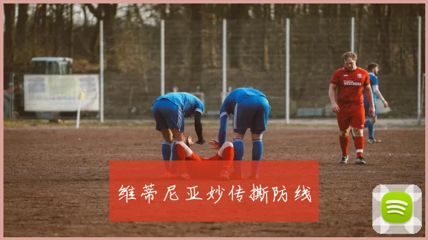 维蒂尼亚妙传撕防线