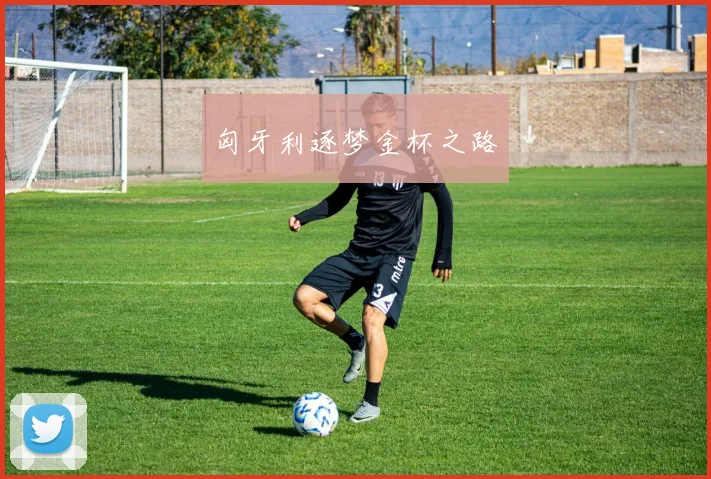 匈牙利逐梦金杯之路
