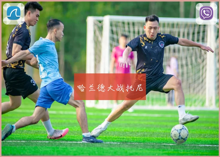 哈兰德大战托尼