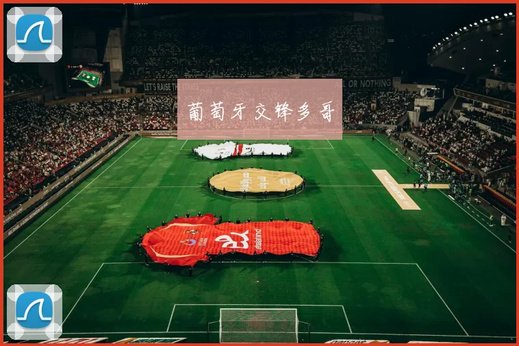 葡萄牙交锋多哥