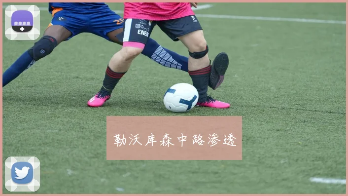勒沃库森中路渗透