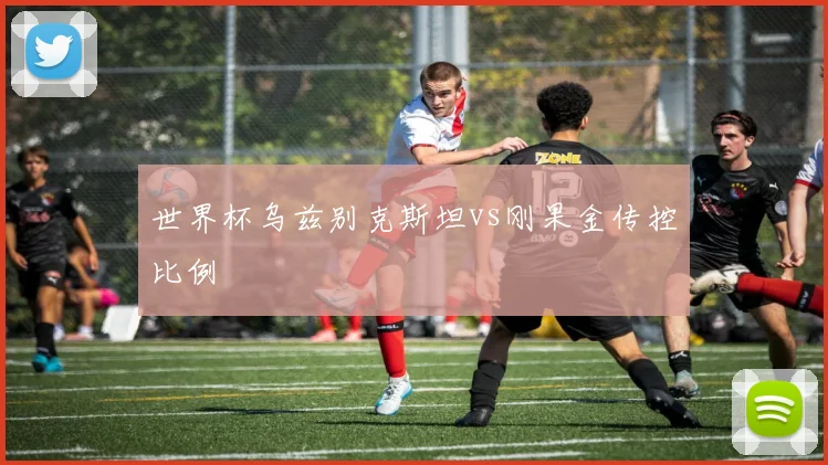 世界杯乌兹别克斯坦vs刚果金传控比例