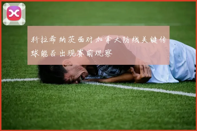 科拉希纳茨面对加拿大防线关键传球能否出现赛前观察
